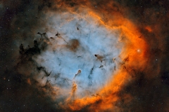 Elephant Trunk Nebula