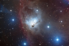  The Cosmic Bat